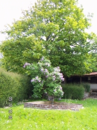 annonces immobiliere normandie